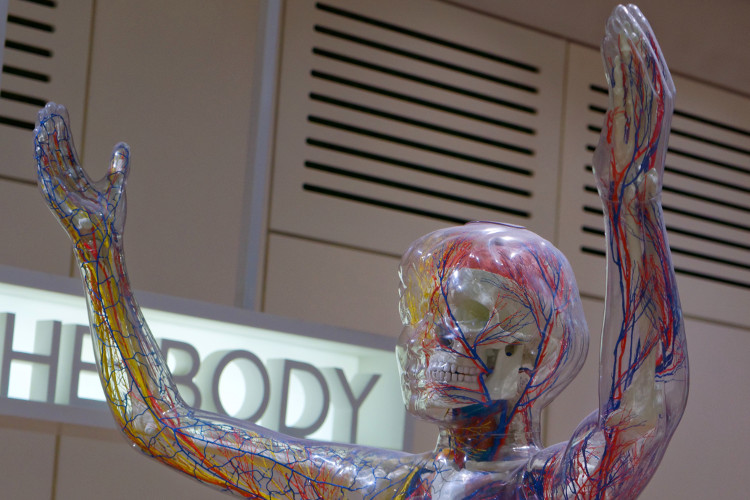 Physical Medicine